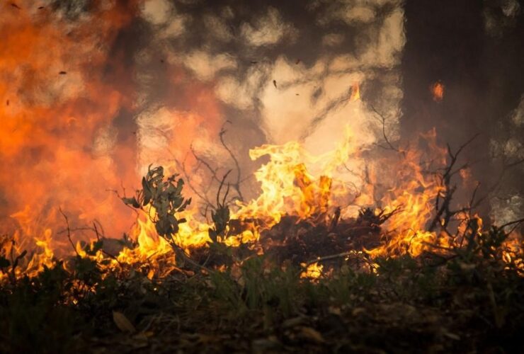 incendios forestales