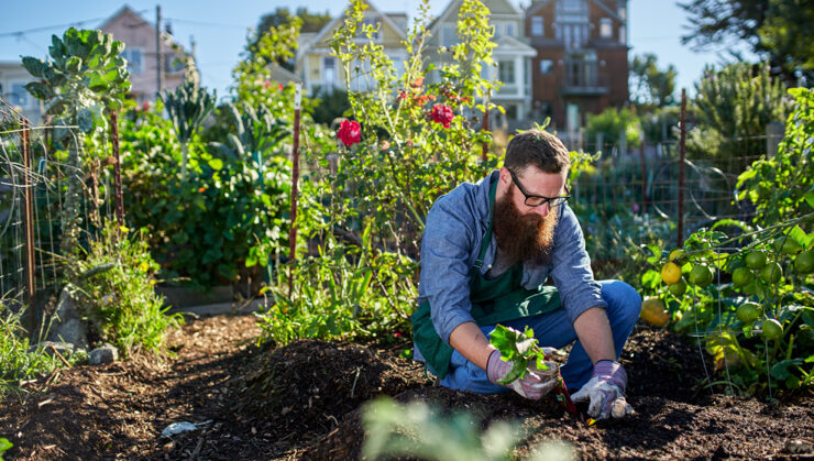 ¿Cómo cultivar un huerto urbano?