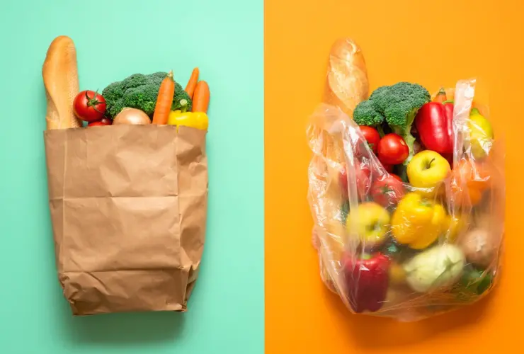 5 Ideas Creativas para reutilizar bolsas de compras