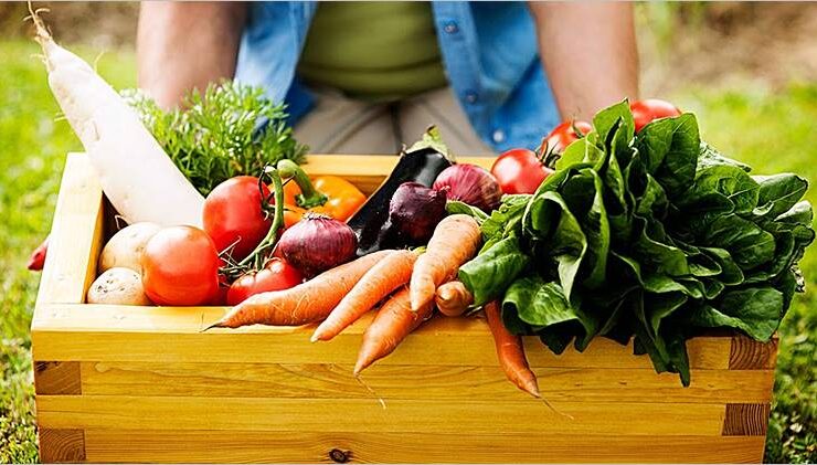 Los beneficios de consumir alimentos locales