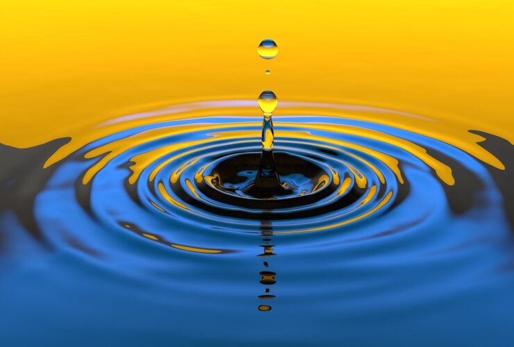 Cosecha de agua: Guía completa para conservar y aprovechar este recurso
