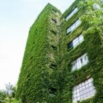 ¿Cómo construir edificios ecológicos?