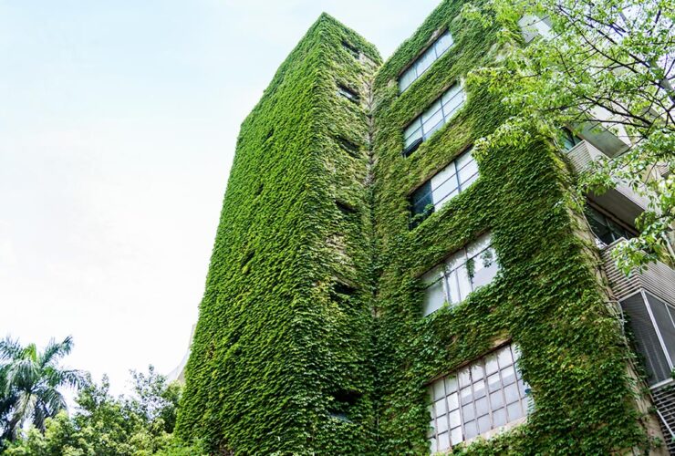 ¿Cómo construir edificios ecológicos?