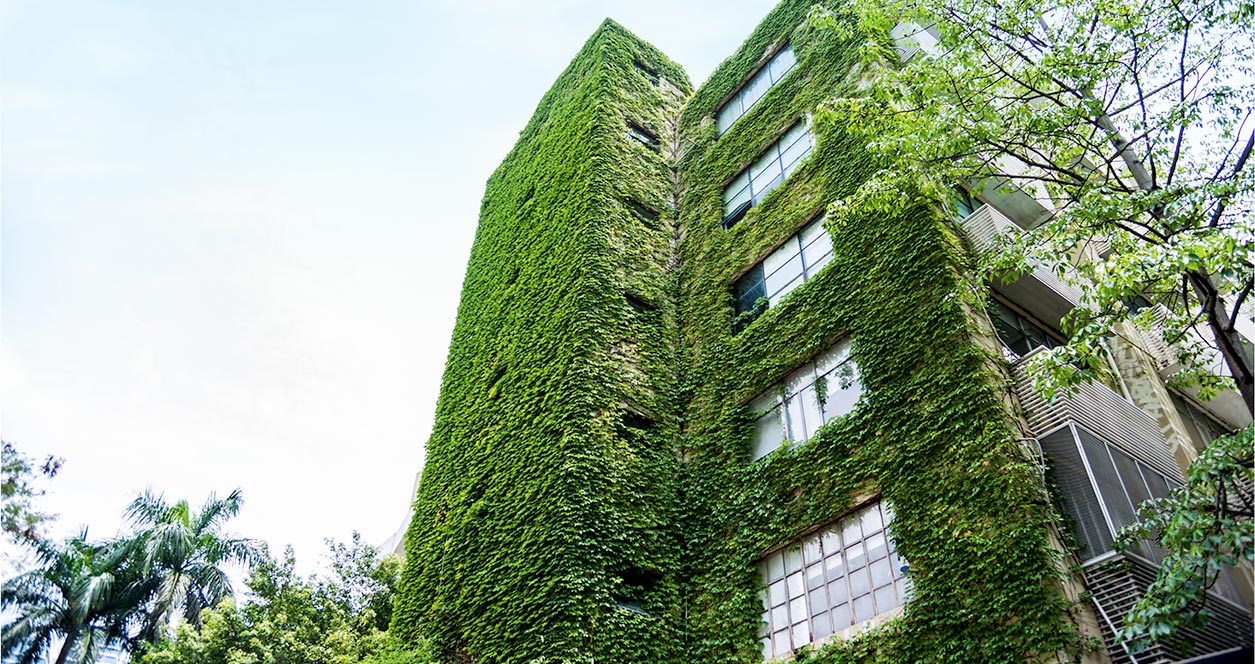 ¿Cómo construir edificios ecológicos?