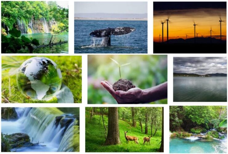 recursos naturales