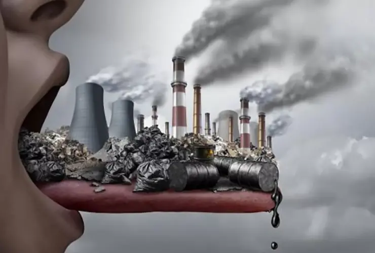 Salud ambiental humana
