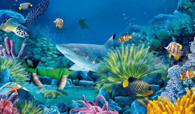ecosistemas marinos