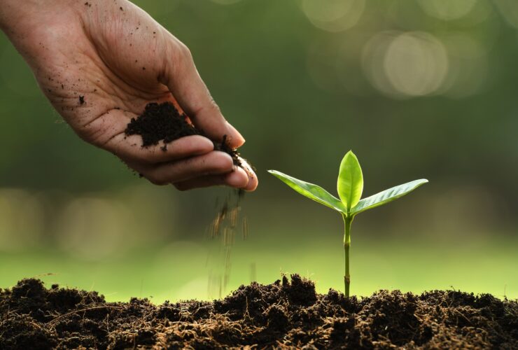 La agricultura de conservación: Una guía completa para mejorar la sustentabilidad en la producción agrícola