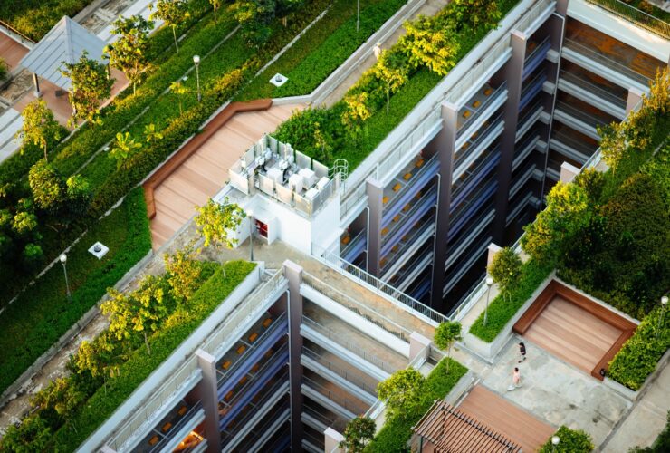 Impulsa la sostenibilidad con Techos Verdes para un futuro más verde