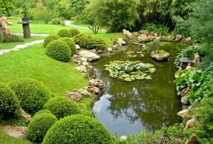 La fascinante belleza de los jardines subacuáticos: ¿Qué los hace tan especiales?
