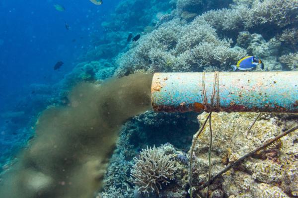 La amenaza oculta: Polución marina, sus consecuencias y soluciones