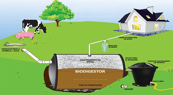 Todo lo que necesitas saber sobre los biodigestores: beneficios, funcionamiento y mantenimiento