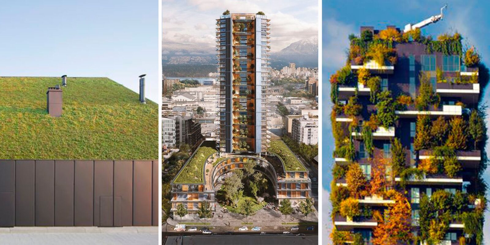 ¿Son los techos comestibles el futuro de la arquitectura sostenible?