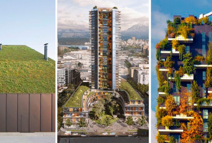 ¿Son los techos comestibles el futuro de la arquitectura sostenible?