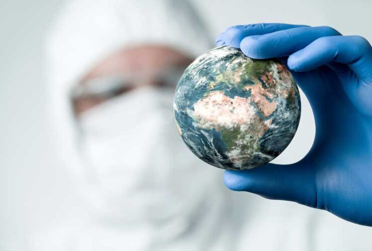 La importancia de la regeneración ecológica para preservar nuestro medio ambiente
