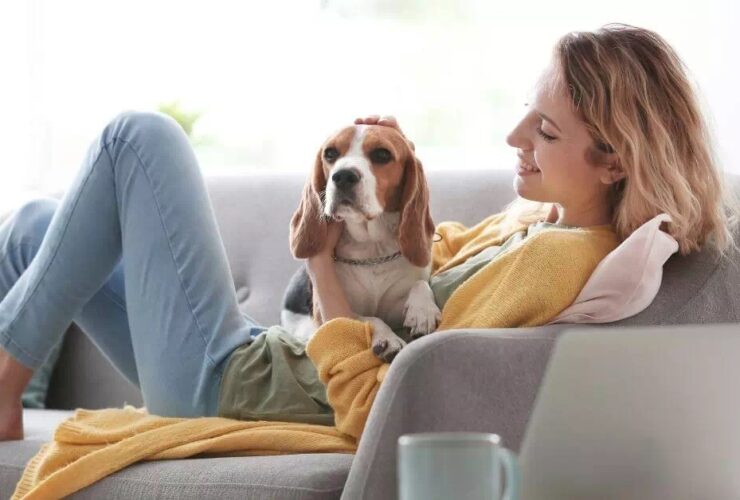 cuidado de animales en casa