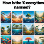 ¿Cómo se llaman los 10 ecosistemas?