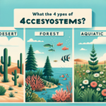 ¿Cuáles son los 4 tipos de ecosistemas?