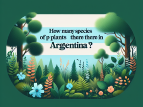 ¿Cuántas especies de plantas hay en Argentina?