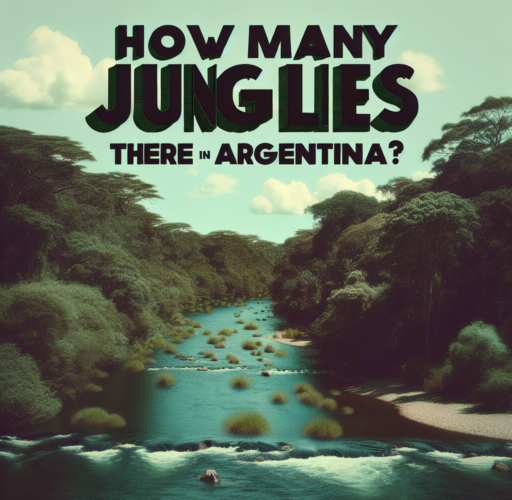¿Cuántas selvas hay en Argentina?
