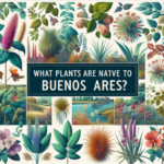¿Qué plantas son nativas de Buenos Aires?