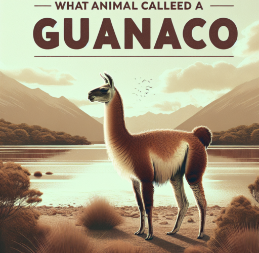 ¿Qué animal le dicen guanaco?