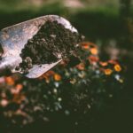 Macetas con plantas y hortalizas en un balcón urbano