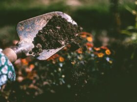 Macetas con plantas y hortalizas en un balcón urbano