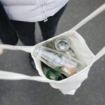 Manos sosteniendo una planta joven como símbolo de sostenibilidad