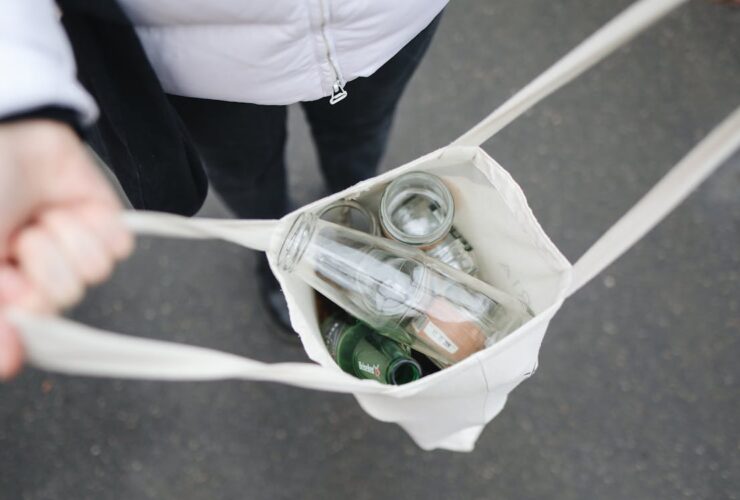 Manos sosteniendo una planta joven como símbolo de sostenibilidad