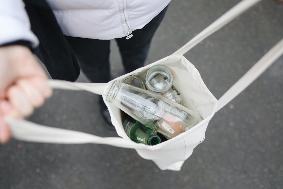 Manos sosteniendo una planta joven como símbolo de sostenibilidad